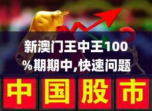 新澳门王中王100%期期中大全：精选解析解释落实