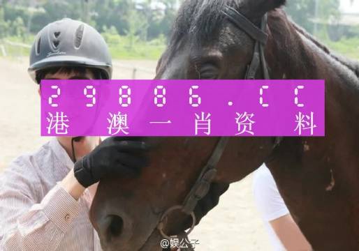 澳门特一肖一码免费提：实用释义解释落实